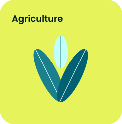 Agriculture Image